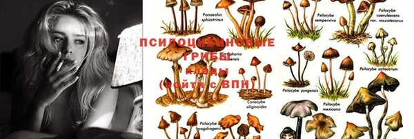 ешки Алексеевка