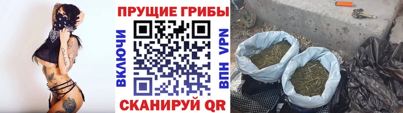 Галлюциногенные грибы Magic Shrooms  Жердевка 